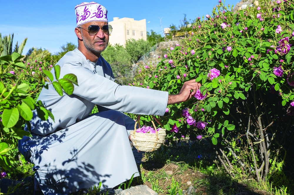 Local tour guide, Mahmoud bin Said bin Hamood al Toobi