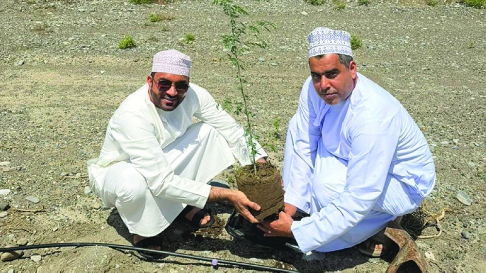 Ghaf tree planting campaign held at Barceló Mussanah Resort.