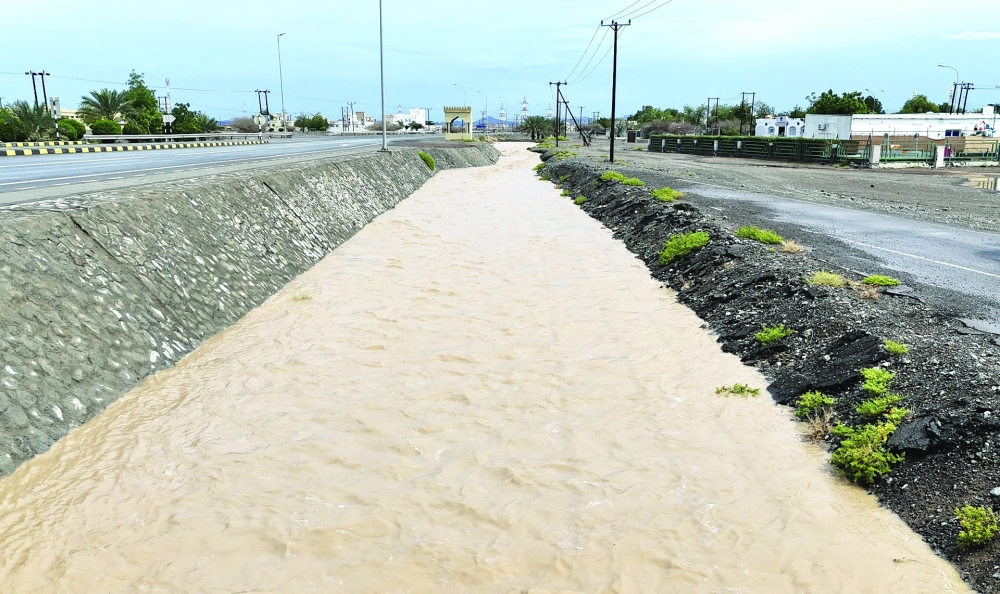 Wadis are not empty channels; they are delicate ecosystems.
