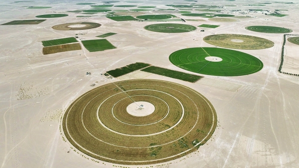 RO 29 million investments advance food security projects