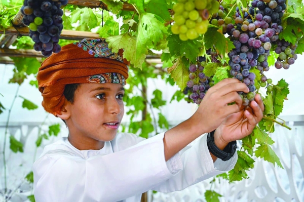 Enhancing Food Security – Oman Observer