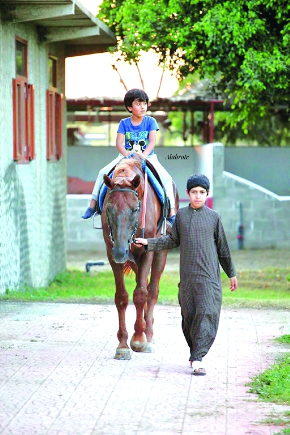 Salim's grandchildren and his young family riding horses