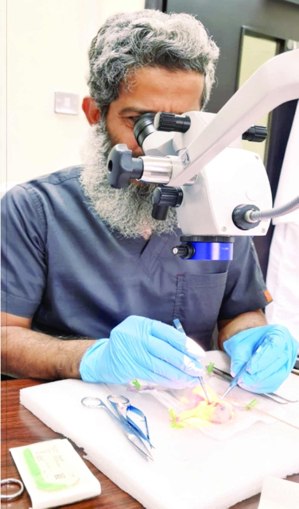 Dr Sulaiman bin Ali al Hashmi