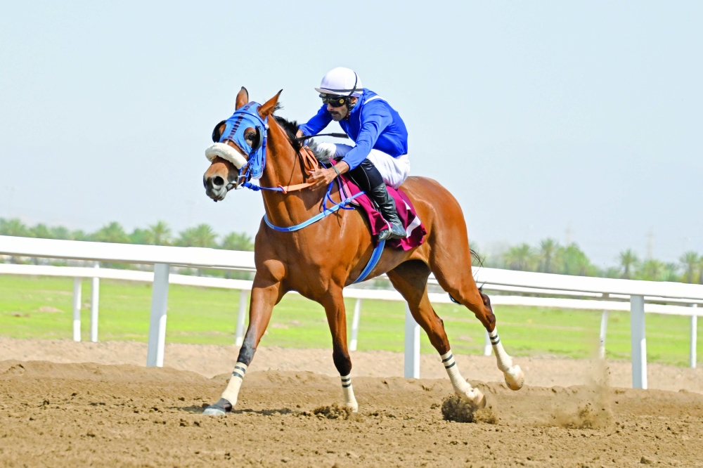 Jockey Al Moatasim bin Saeed al Balushi expressed his satisfaction after securing two wins.