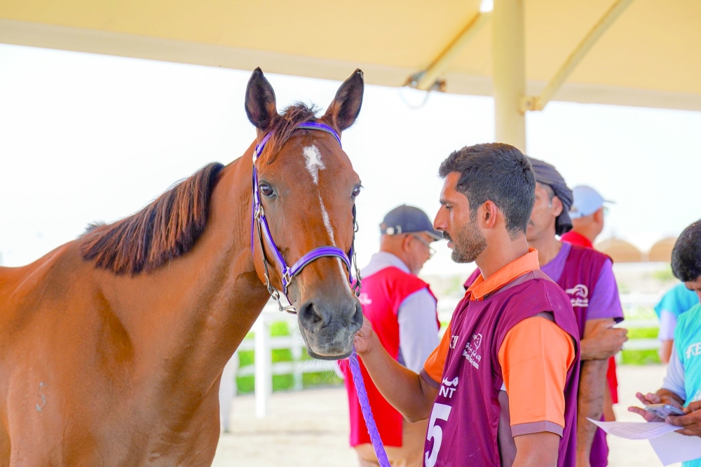 The race was divided into four stages, with the first and second stages covering 30 km each, followed by two final stages of 20 km each.