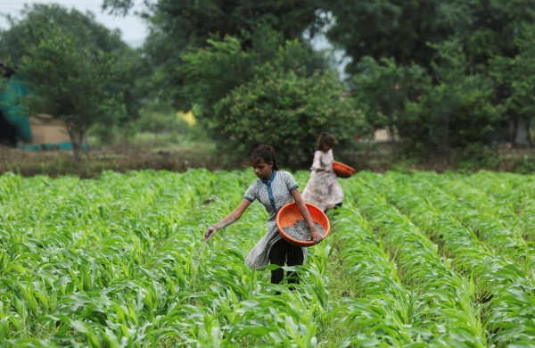 Fertilizer shipments cannot be stopped due to the war: UN