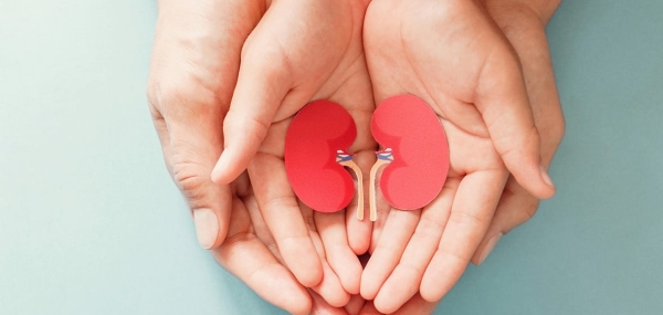Over 2,700 patients await kidney donors in Oman
