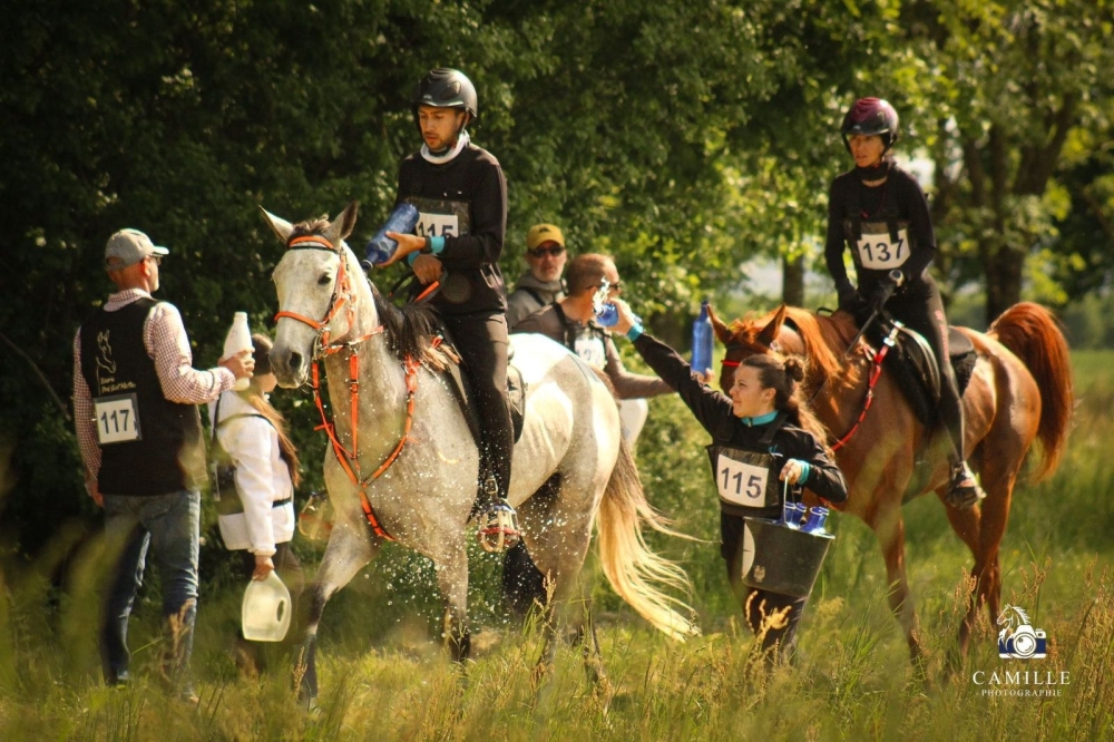Trying to spray the horse Jack with water to make him tired and alleviate fatigue during the race.
