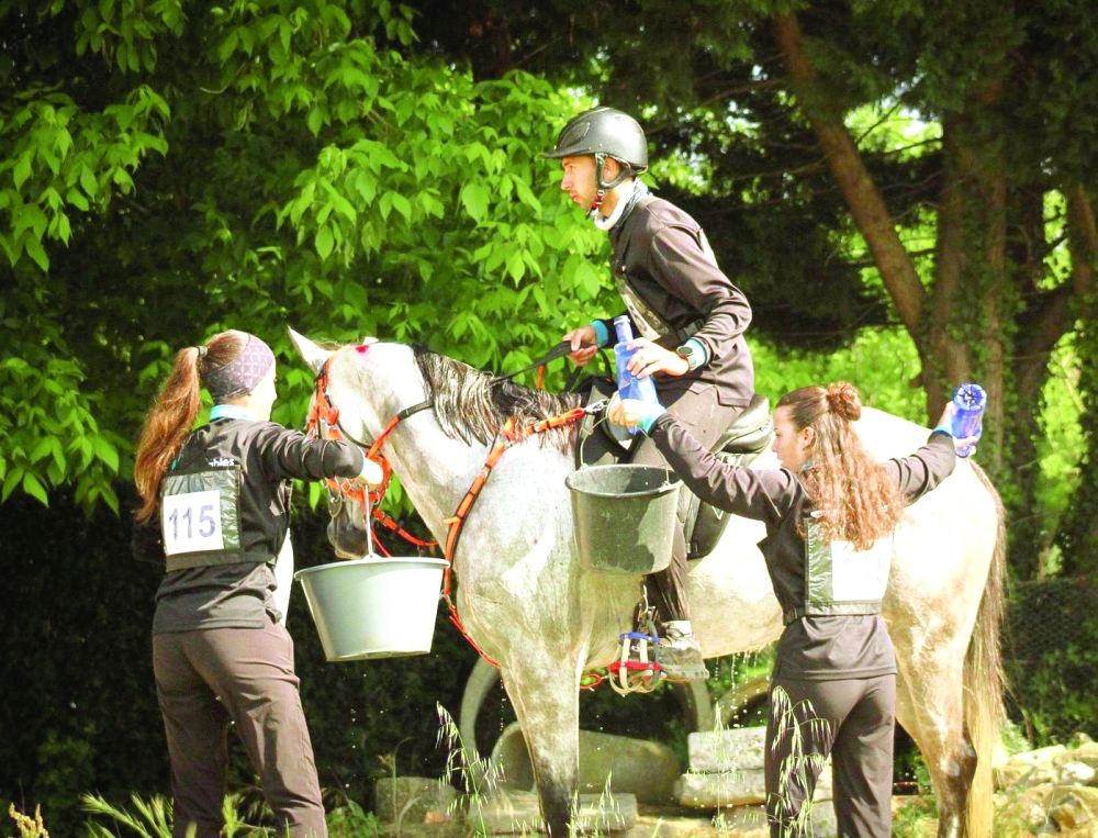 Trying to spray the horse Jack with water to make him tired and alleviate fatigue during the race.