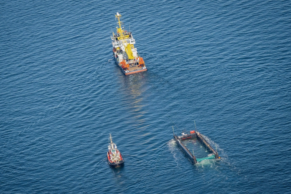 GERMANYANIMAL-WHALE-RESCUE