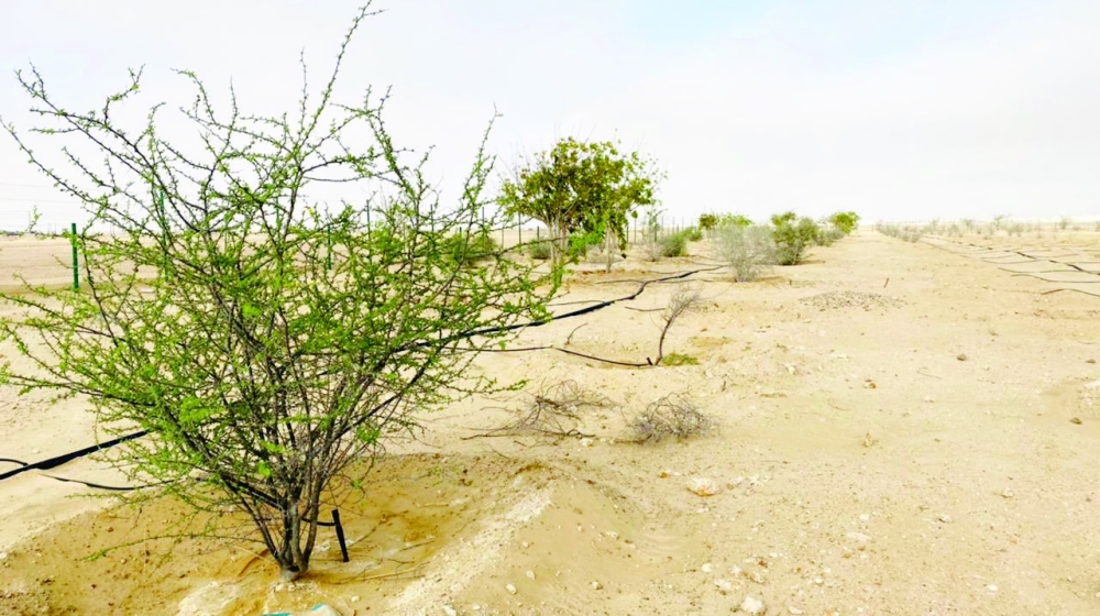 EA has held nationwide environmental campaigns focused on planting native species.
