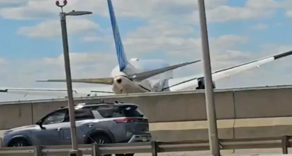 Passenger plane clips lamppost, truck while landing