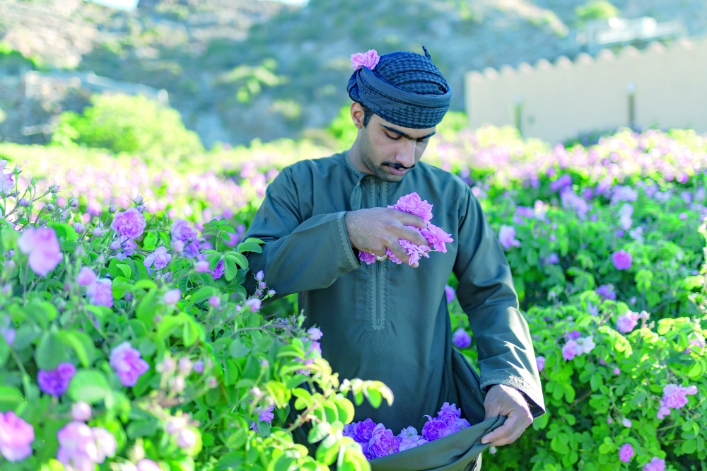 Agricultural heritage in Jabal Al Akhdhar has further evolved into a cultural tourism experience.
