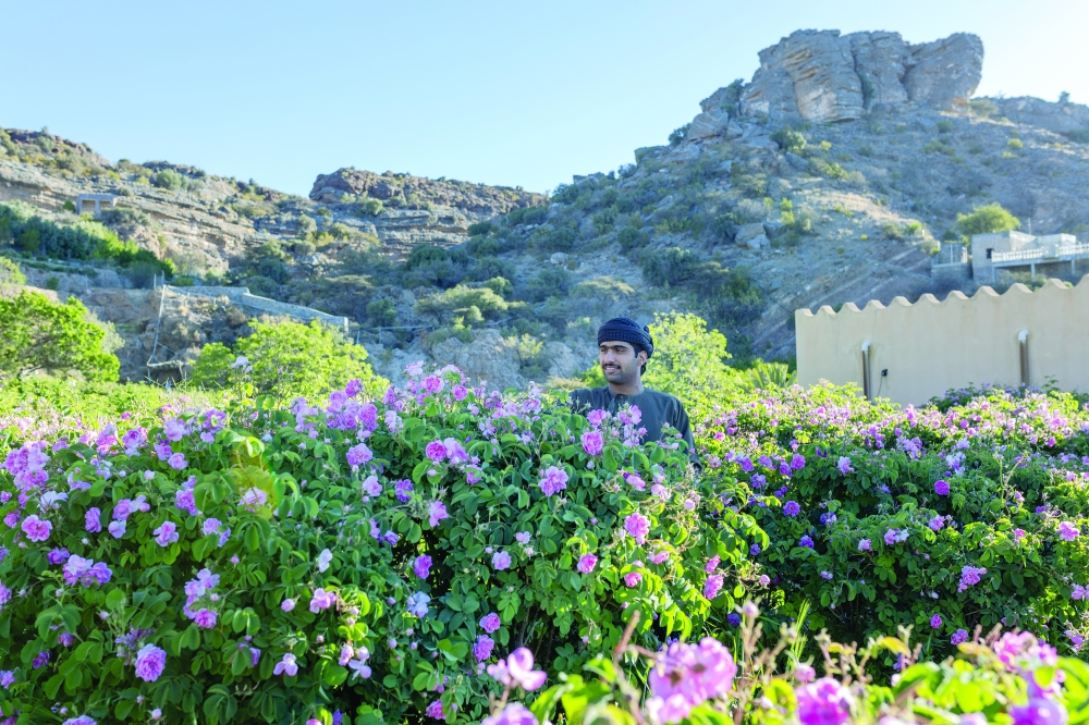 The sustained growth reflects the rising popularity of nature-based travel in Oman.
