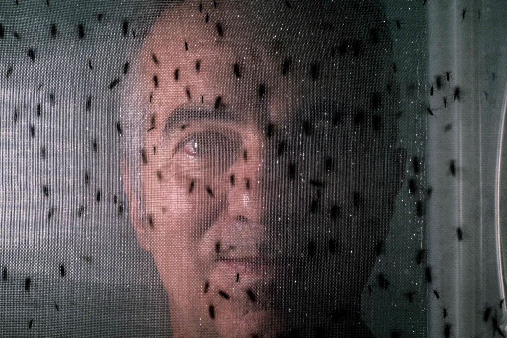 Magnets: Why mosquitoes bite you while ignoring everyone