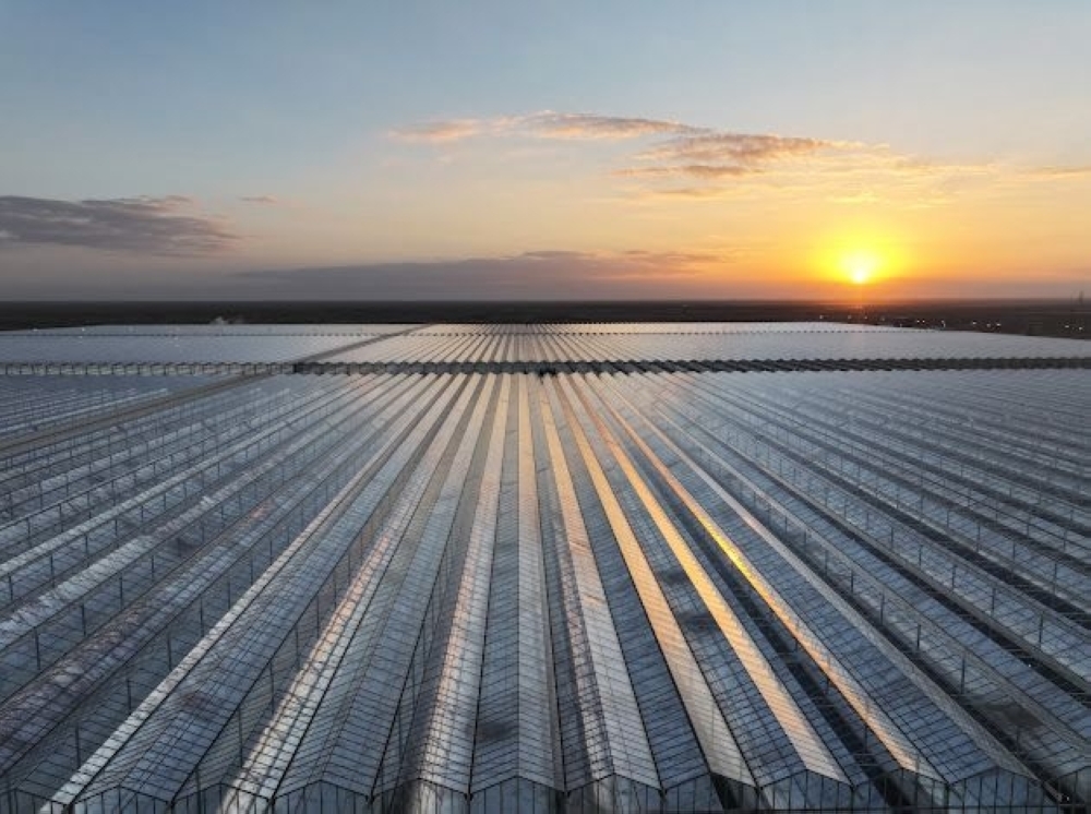 Renewable energy capacity is projected to reach 26.6 gigawatts by 2030, alongside the production of one million tonnes of green hydrogen annually by 2030.