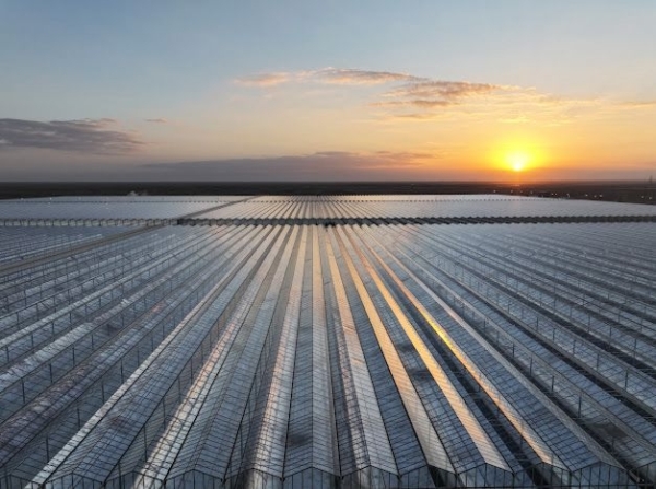 Oman targets renewables share of 60-70% by 2040