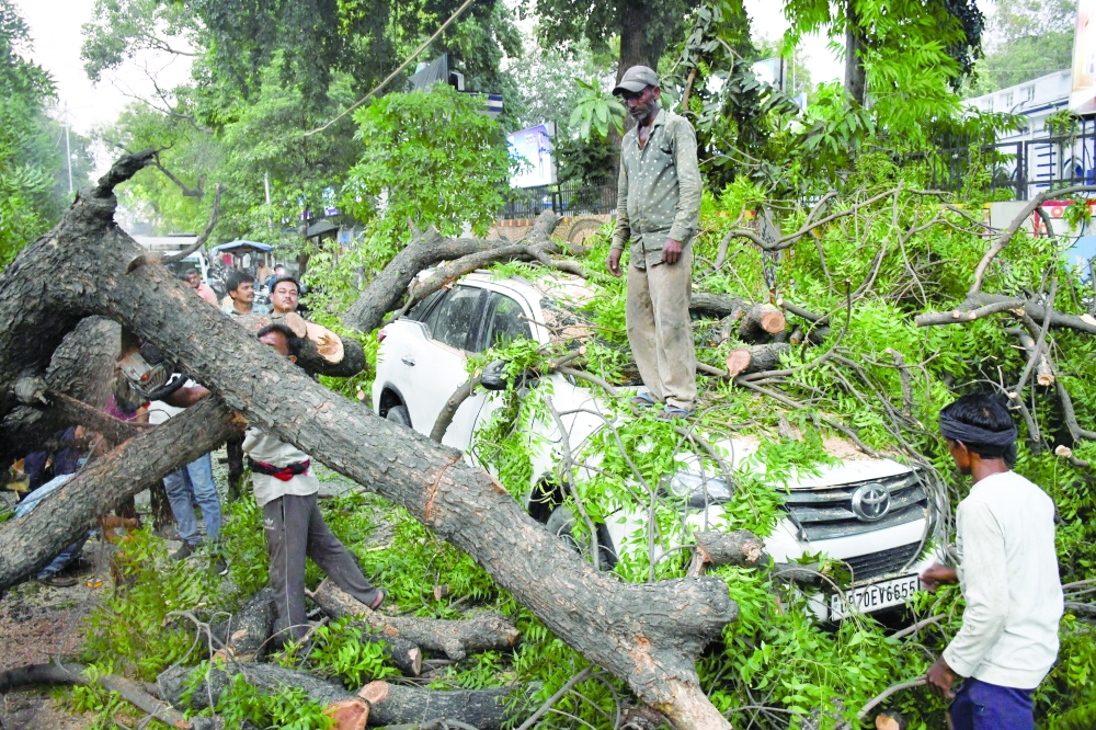 People remove a fallen tree during a heavy storm in Prayagraj, Uttar Pradesh, India. - Reuters