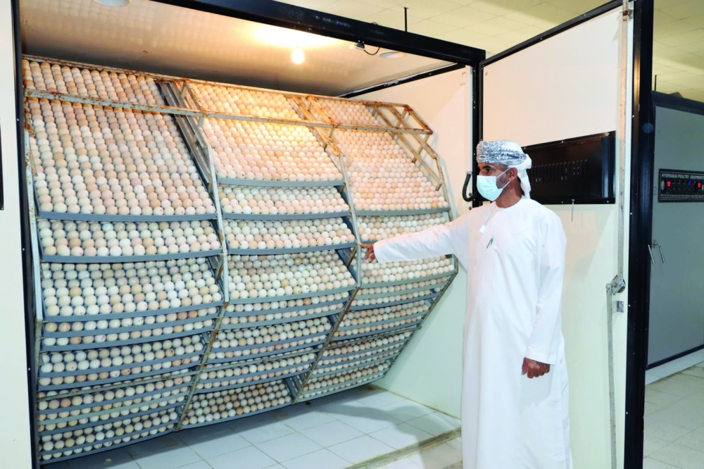The facility currently has a production capacity of around 700,000 chicks annually.