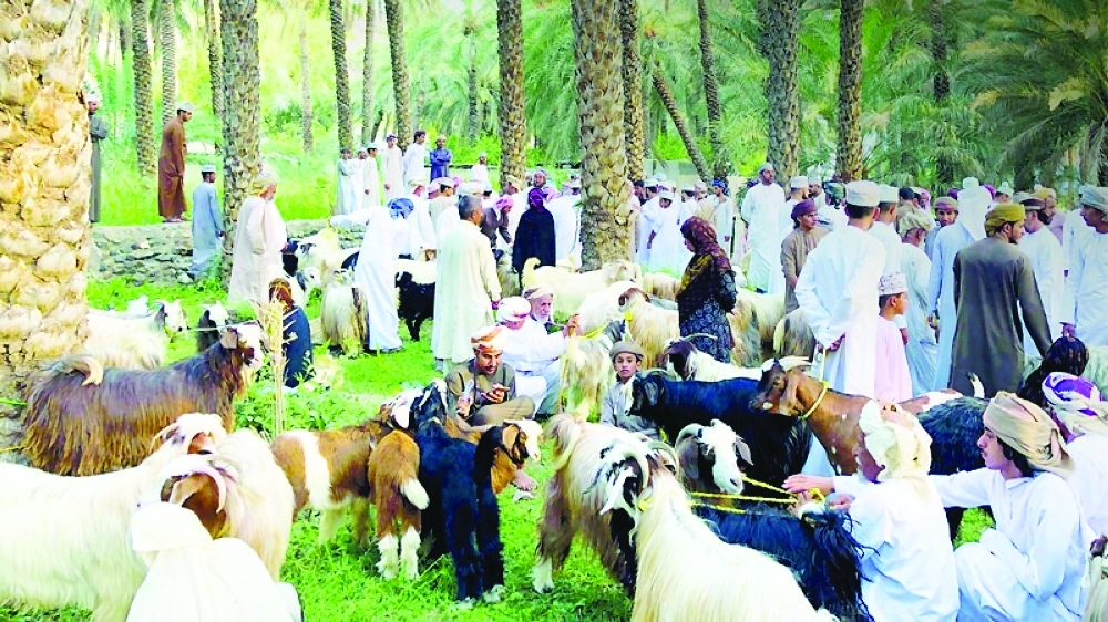 Hundreds of flocks of sheep and goats are currently being traded both from local farms and international imports.