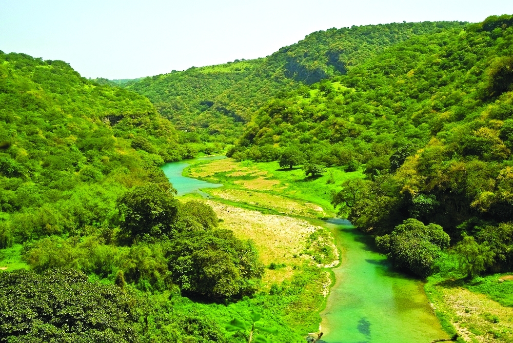 'Plant Oman 2050' project is part of an integrated national vision for environmental sustainability.