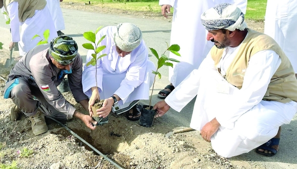 Environmental initiative aims to plant trees in Ibra