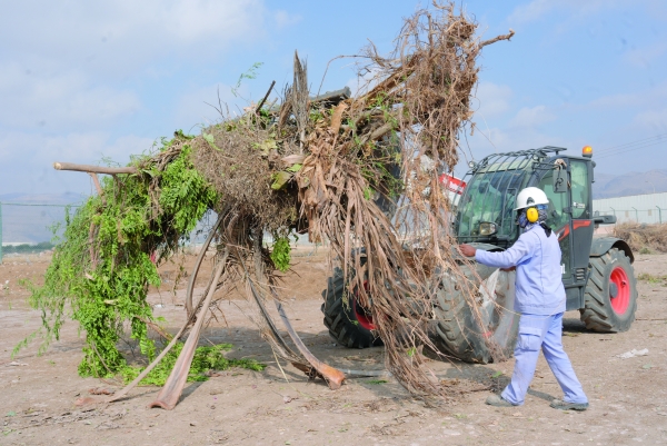Sustainable project seeks to manage agricultural waste