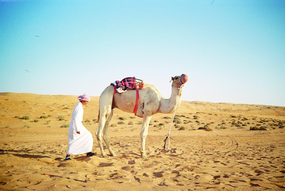 Exploring camel culture and Bedouin heritage at Rimal Al Sharqiya