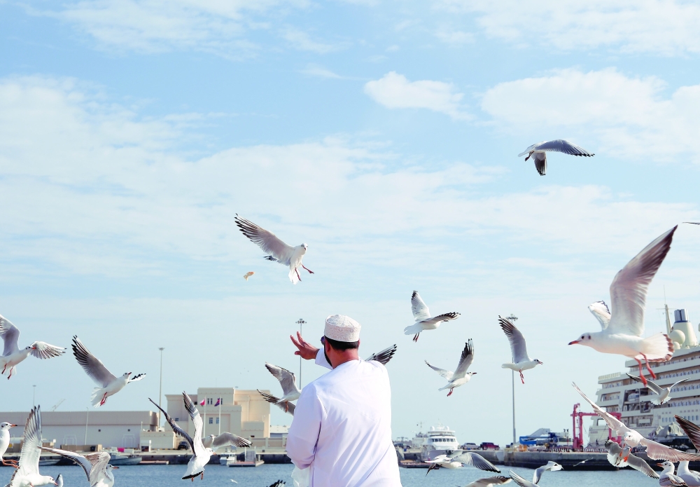Seagulls flying across Muttrah Corniche create one of the most iconic coastal scenes in Muscat