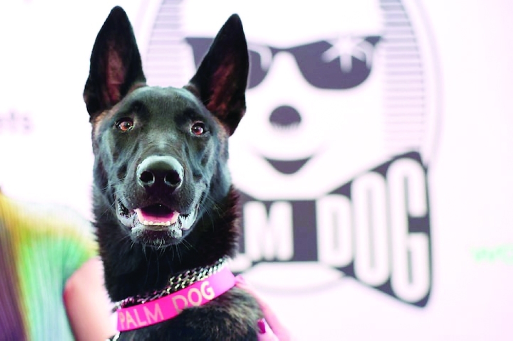 The dog named Apocalypse receives the Palm Dog award on-behalf of the dog named Yuri, winner of the award for his best canine performance in the film "La Perra" (La Chienne). — Reuters
