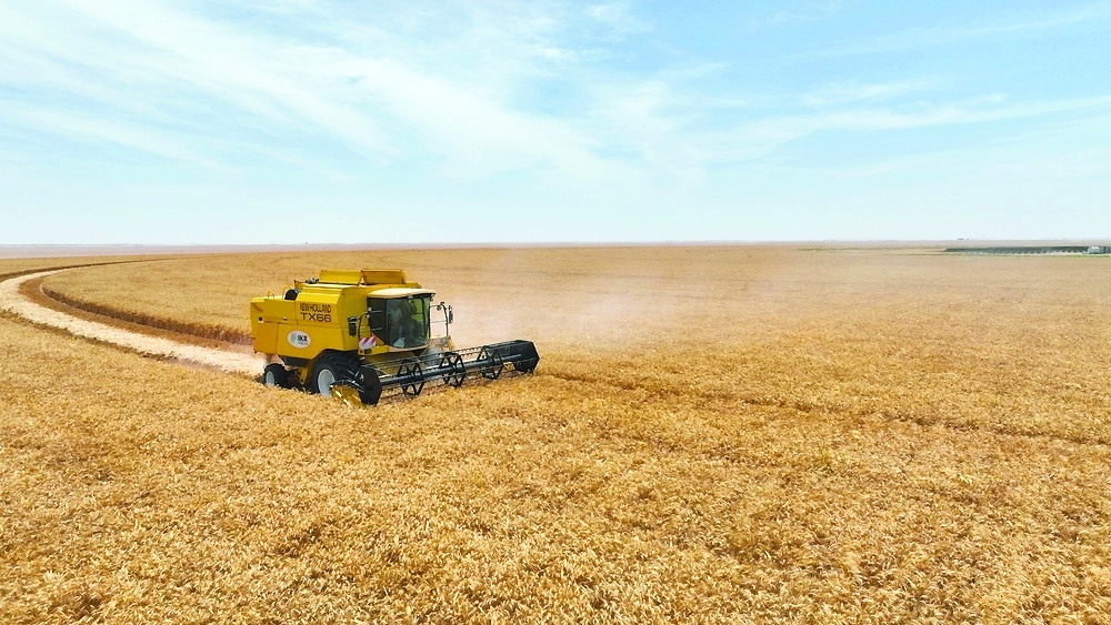 The Najd region represents one of Oman’s most promising agricultural areas capable of supporting the country’s long-term food security objectives.