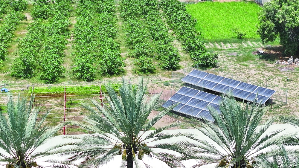 
Transition to solar energy is a flexible economic option. 