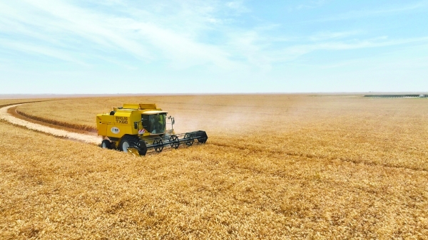 Najd returns to forefront of Oman’s food security strategy