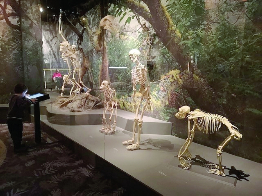 The Museum of Natural History in Stockholm. — AFP