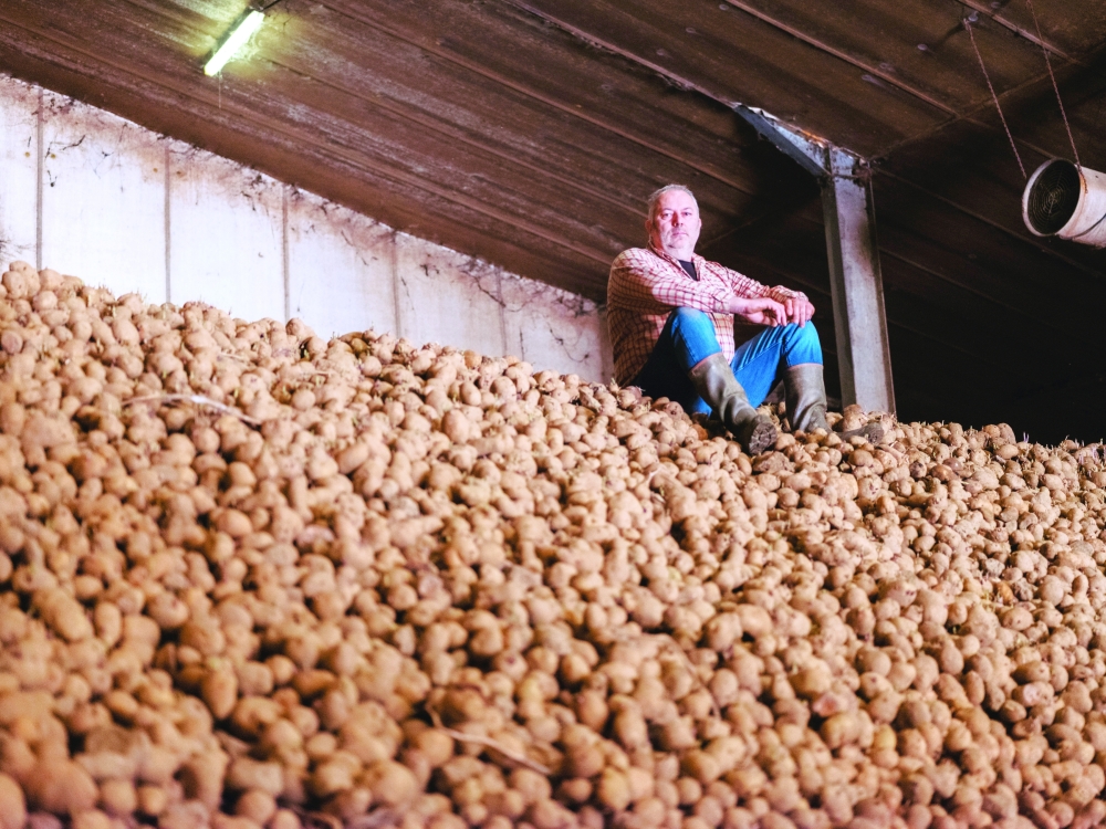 Farmer Kris D'Haeyere and some of his potato surplus, which he ended up dumping back into his fields in Hermalle-sous-Huy, Belgium. — NYT