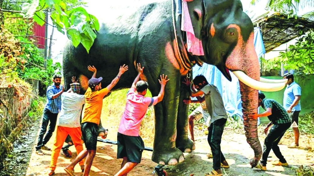Animal rights groups are promoting the use of robotic elephants instead of real animals in religious festivals in Hindu temples as well as in Bollywood. — AFP