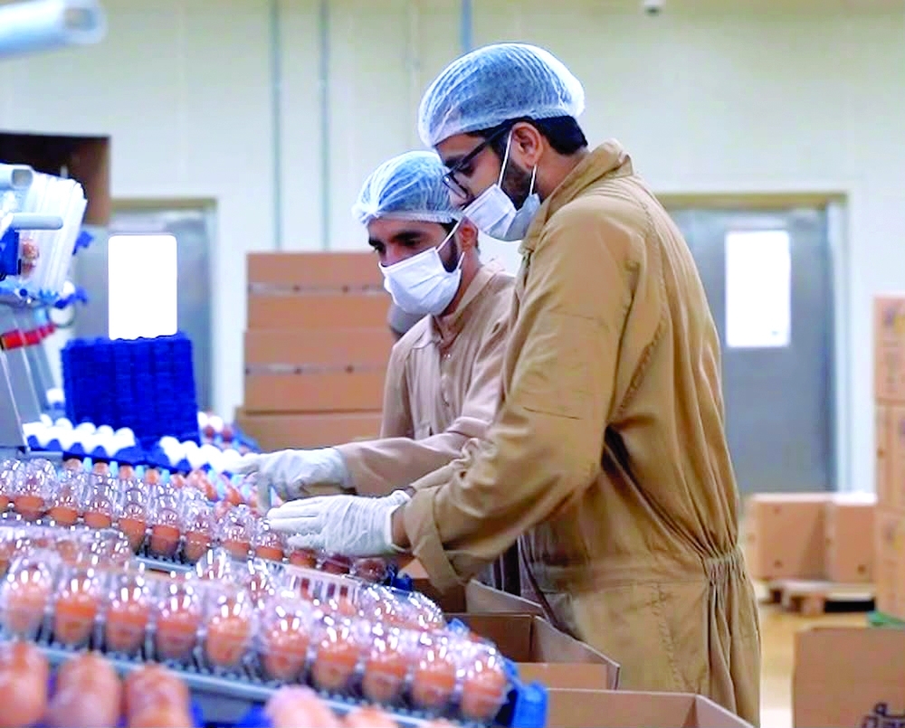 Strong growth in business activities in Al Dhahirah