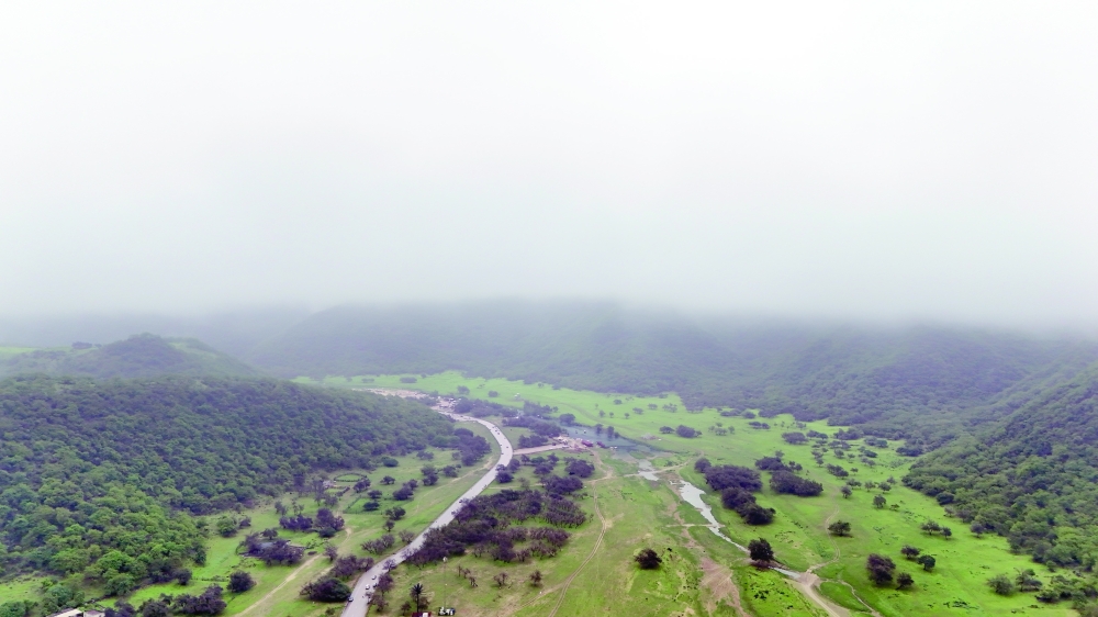 Dhofar’s appeal is a combination of sea, mountains, mist, wadis, springs, viewpoints and open family spaces.