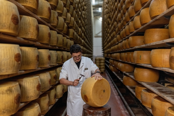 Could extreme heat put Italy's Parmesan production at risk?
