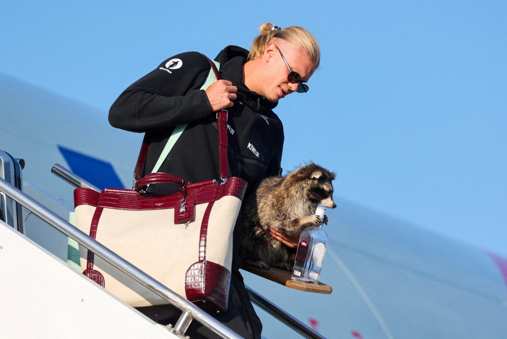  Haaland gets off the plane. — Reuters