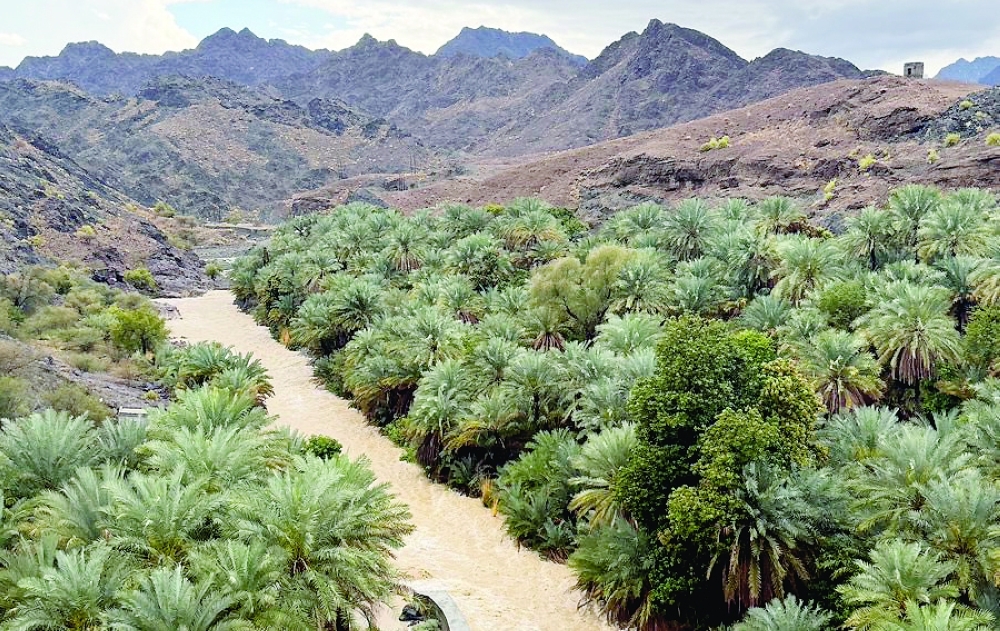 A study shows the risk pathway in Wadi Al Sarami and highlights the need for integrated flood management.