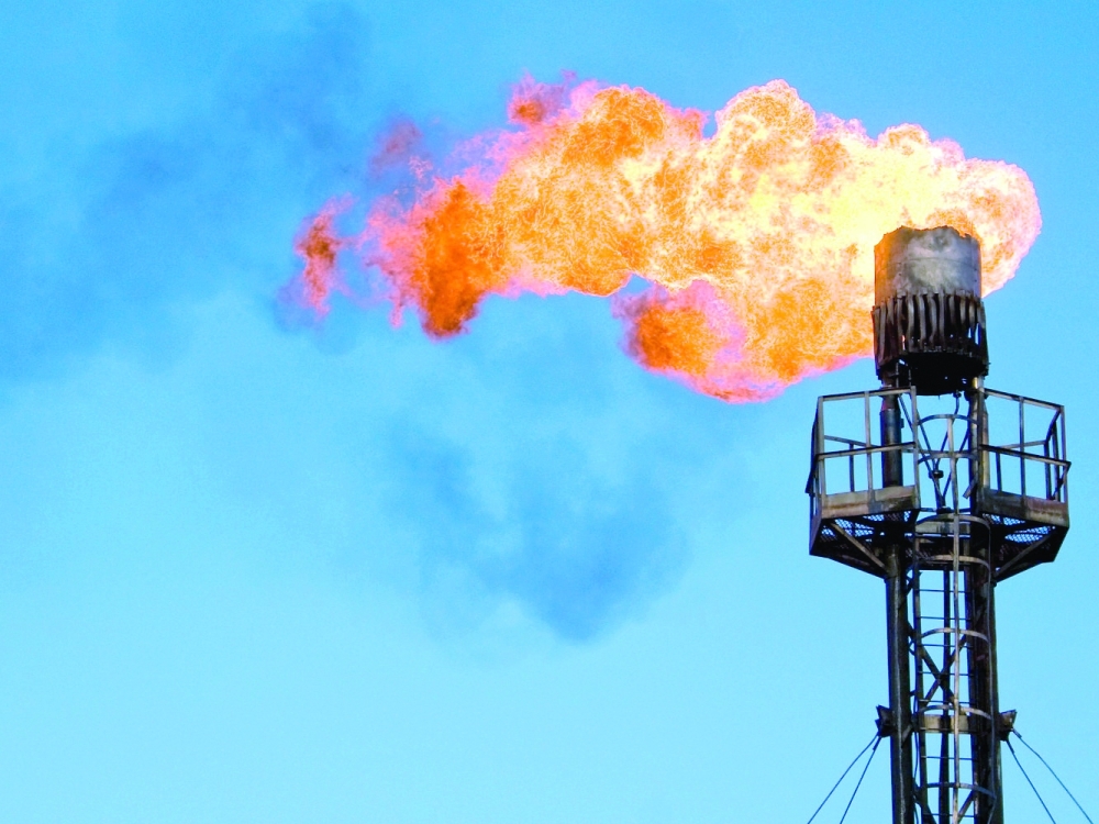 PDO is seeking proposals for the monetisation of flare gas in its North Concession Area.