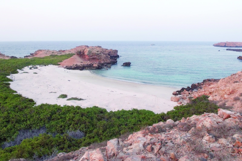 Oman Advances in Global Environmental Performance Index 3