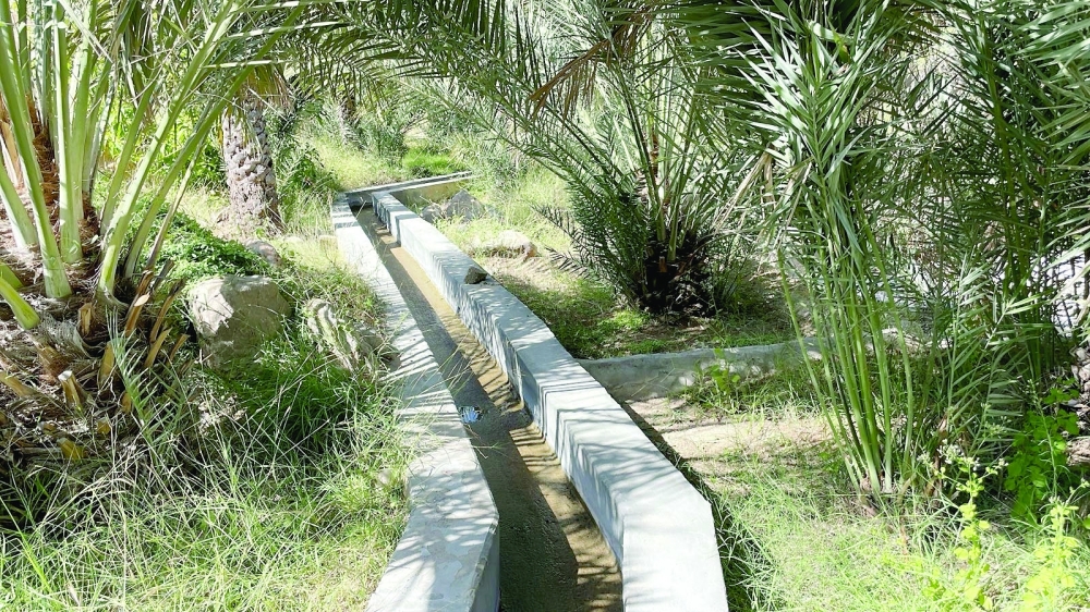 
The project includes the maintenance and restoration of 15 aflaj systems in different wilayats of the governorate. 