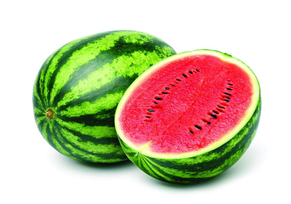 shutterstock_2595836849