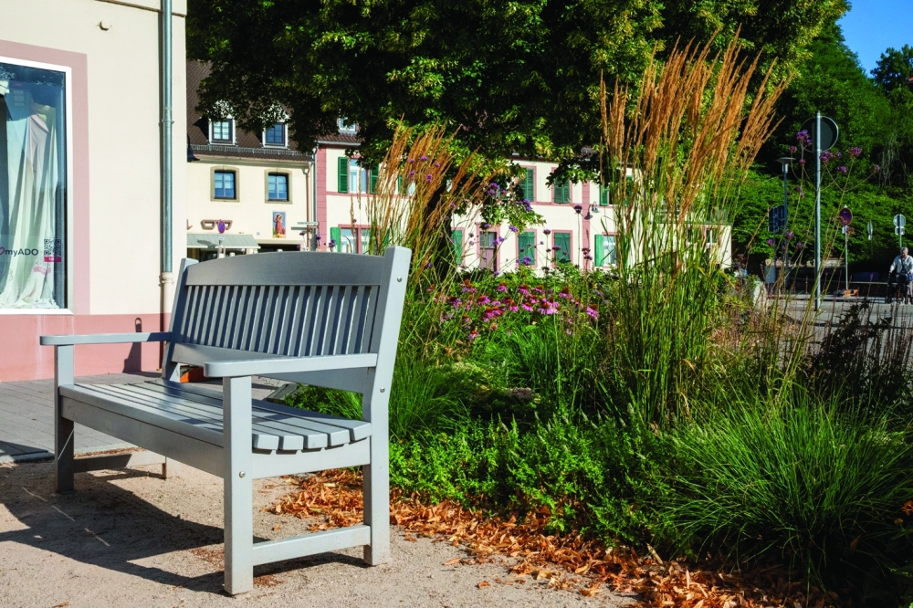 Aesthetic and urban design with Echinace purpurea