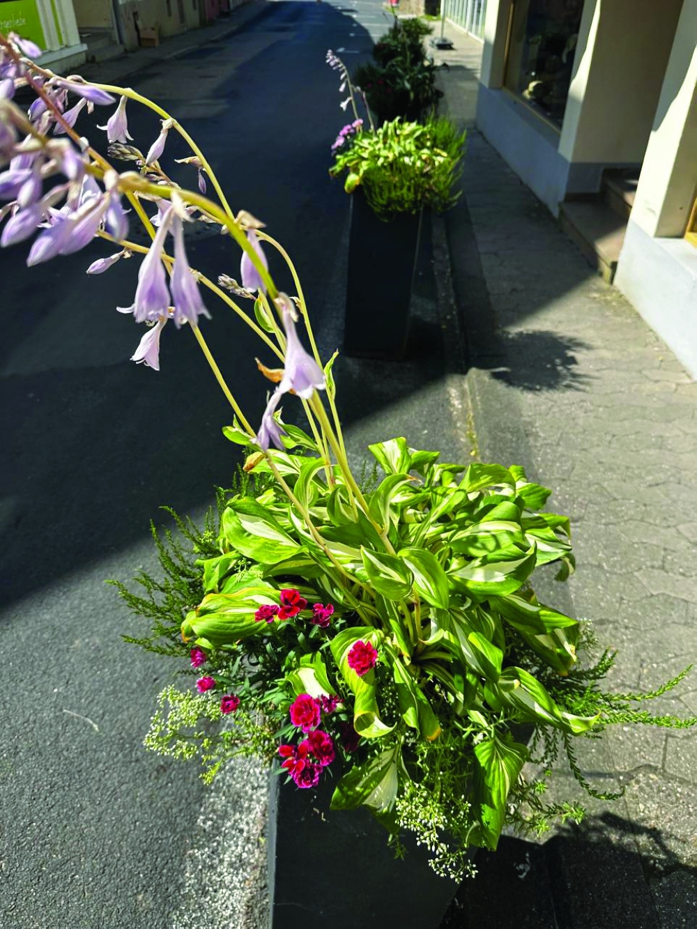 Edible street planter with flowering herbs and basil in Blieskastel