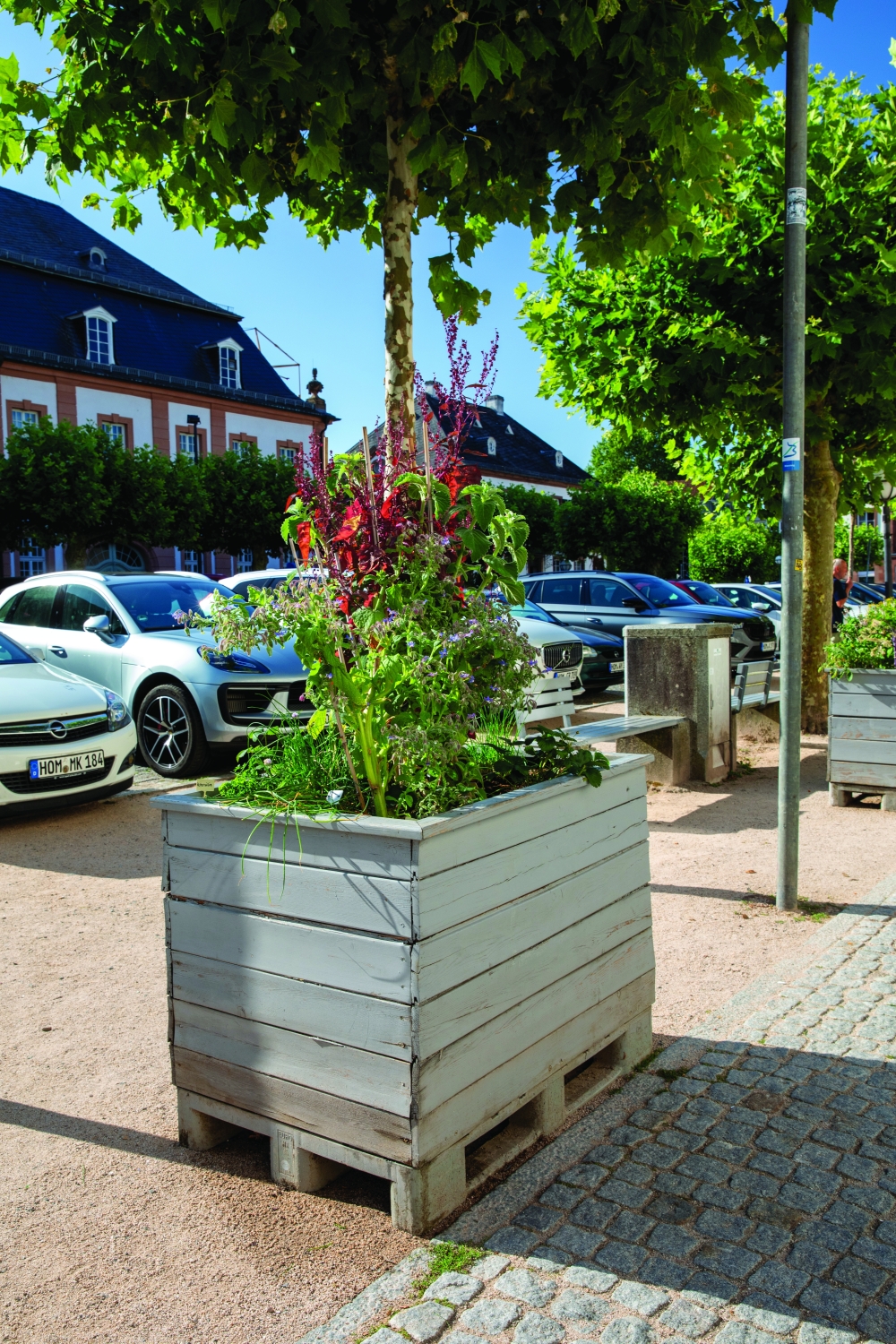Productive raised beds in an urban square part of the growing Edible City movement