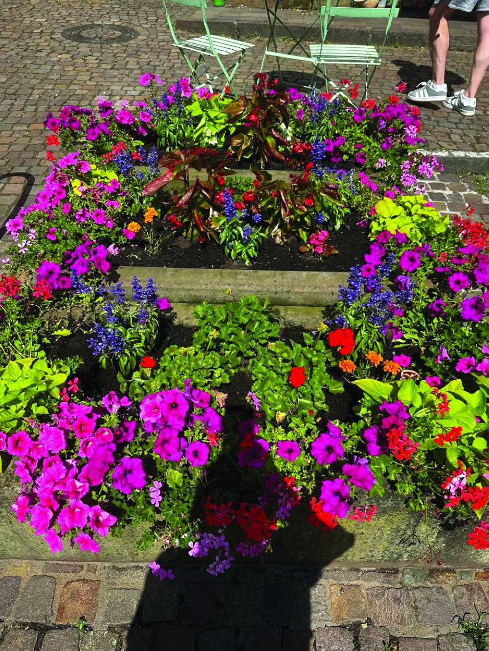 Vibrant summer flowerbed in Blieskastel’s historic town centre