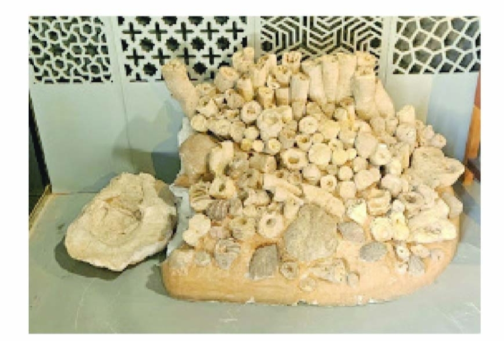 As per the latest digital publication by the Ministry of Heritage and Tourism, more than 11,000 people visited the museum in 2025.